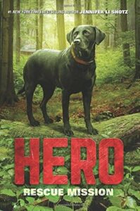 Hero Rescue Mission